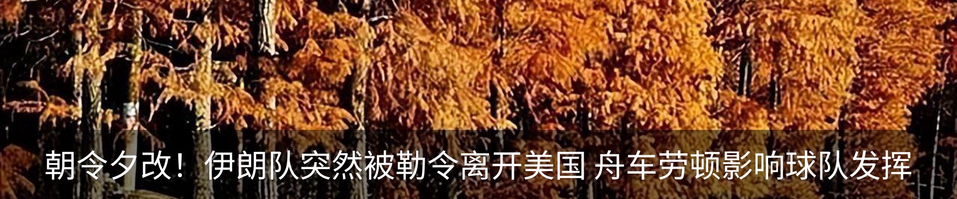 行业资讯